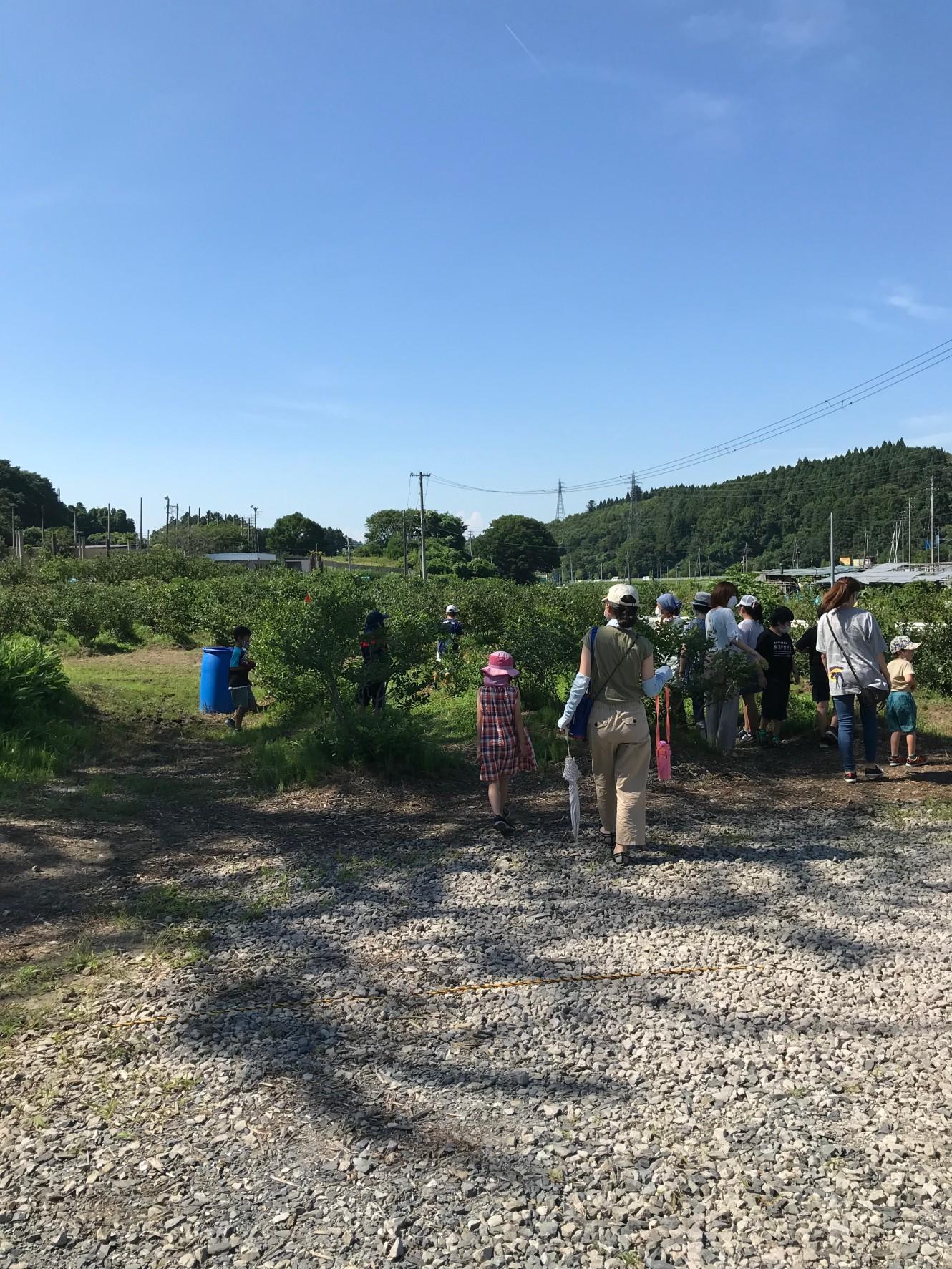 暑い中、ご来園ありがとう