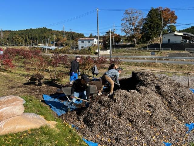 高橋ブルーベリーつみとり園の冬支度